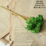 2021Imitation flower manufacturer soft gum rice baby fruit feels fleshy, green plant Sen female embroidered cone
