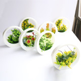 Lovely Artificial Plants with Pot Simulation Succulents Mini Bonsai Potted Placed Green Fake Plants Table Decoration