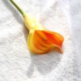 Manufacturer wholesale simulation flower hand holding flower foreign trade family decoration wedding long branch Calla