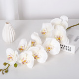 9 Phalaenopsis flowers are placed in the decoration flower room of the simulated green plant wedding hall