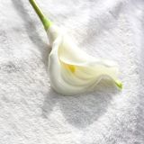 Manufacturer wholesale simulation flower hand holding flower foreign trade family decoration wedding long branch Calla