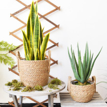 Nordic woven straw basket flower pot woven basket flower pot decoration living room rattan storage box