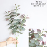 2021Eucalyptus ins Nordic money leaf simulation flower manufacturer family decoration wedding plant wall