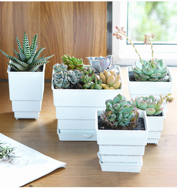 Root Control Flowerpots Succulent Flowerpots Plastic Small Square Basin North Creative Gardening Breathable Wholesale