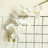 2021Artificial flower plant bonsai wedding decoration ins wind simulation plant Phalaenopsis