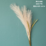 Cross border decoration ins wind wholesale crafts reed grass simulation flower manufacturer  flower green plant wedding