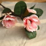 Magnolia long branch flower arrangement simulation flower manufacturer family decoration wedding wall plant wall