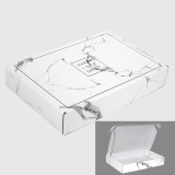 Single color airplane box shipping boxes custom logo luxury gift boxes with ribbon