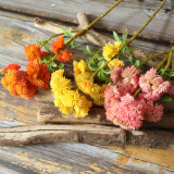 2021Rice fruit succulent plant plant wall family decoration wedding simulation flower 6 large cauliflower