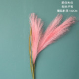 Cross border decoration ins wind wholesale crafts reed grass simulation flower manufacturer  flower green plant wedding
