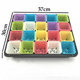 Succulents Plant Seeds Germination Tray Nursery Pots Succulent Planter Flower Pot with Lids Hydroponic Grow Box Seedling Tray