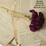 2021Imitation flower manufacturer soft gum rice baby fruit feels fleshy, green plant Sen female embroidered cone