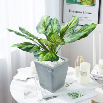 2021Simulated green plant bundle potted Nordic style home decoration ornaments 12 jade hearts