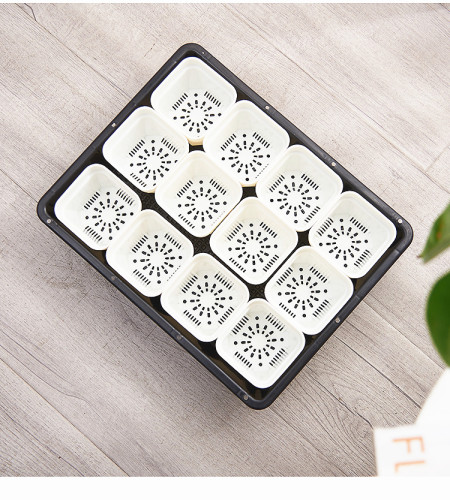 Factory Direct Succulent Seedling Pot Rectangular Succulent Seedling Tray Vegetable Sprout Pot