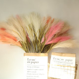 Cross border decoration ins wind wholesale crafts reed grass simulation flower manufacturer  flower green plant wedding