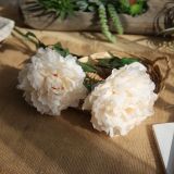 2021Manufacturer sales simulation flower export artificial flower wedding home decoration foreign trade big Peony