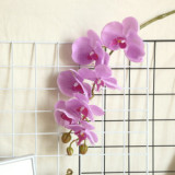 2021Artificial flower plant bonsai wedding decoration ins wind simulation plant Phalaenopsis
