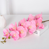 9 Phalaenopsis flowers are placed in the decoration flower room of the simulated green plant wedding hall