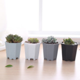 Thicken Succulent Plant Pots Mini Succulent Planter Flower Pot With Trays