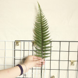 2021Fern Leaf Turtle back leaf simulation flower manufacturer family decoration wedding plant scattered tail sunflower