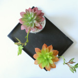 2021Succulent flowers with silent night lotus plant simulation flower manufacturer home decoration wedding plant