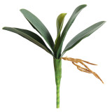 2021Phyllanthus imitation flower plant bonsai wedding decoration plant rose Phalaenopsis