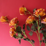 2021Manufacturer's cross-border wedding wholesale simulation flower home decoration 3 dry burned roses