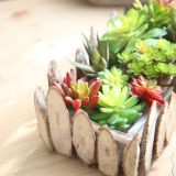 2021Indoor green plant wall simulation flower micro landscape multi meat green plant pepper fruit