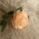 2021Simulated flower plant wedding decoration ins wind plant wall flower wall rose Western Peony
