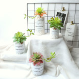 2021Succulent flowers with silent night lotus plant simulation flower manufacturer home decoration wedding plant