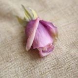 2021Simulated flower wedding holding flower family background props flower wall photography set rose head