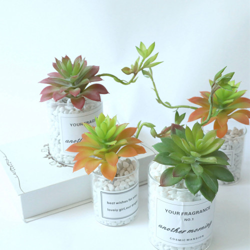2021Succulent flowers with silent night lotus plant simulation flower manufacturer home decoration wedding plant
