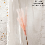 2021Manufacturer wholesale home decoration wedding artificial flower reed pampas grass