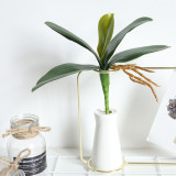 2021Phyllanthus imitation flower plant bonsai wedding decoration plant rose Phalaenopsis
