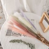 2021Manufacturer wholesale home decoration wedding artificial flower reed pampas grass