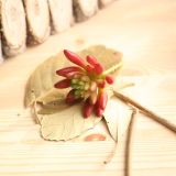 2021Indoor green plant wall simulation flower micro landscape multi meat green plant pepper fruit