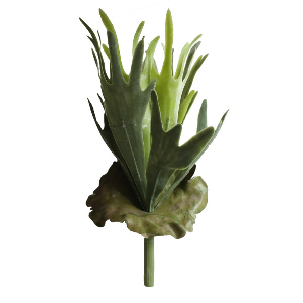 2021Simulated flower fleshy plant wedding family background flower wall green plant antler leaf