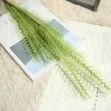 Simulated flower manufacturer's family dog tail decoration wedding holding flower road leading flower maltgrass