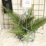 2021Fern Leaf Turtle back leaf simulation flower manufacturer family decoration wedding plant scattered tail sunflower