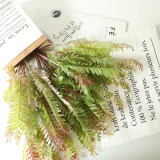 2021Artificial leaves of touch phoenix tail grass export indoor green plant wall simulated flower micro landscape