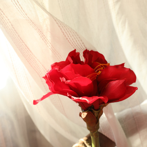 Imitation flower manufacturer fake flower wedding decorations ins wind cross border green plant wholesale Zhuding red
