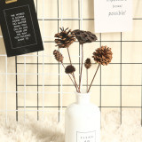 Natural pine nut dry flower cotton lotus simulation flower family decoration wedding hand held flower wall plant wall