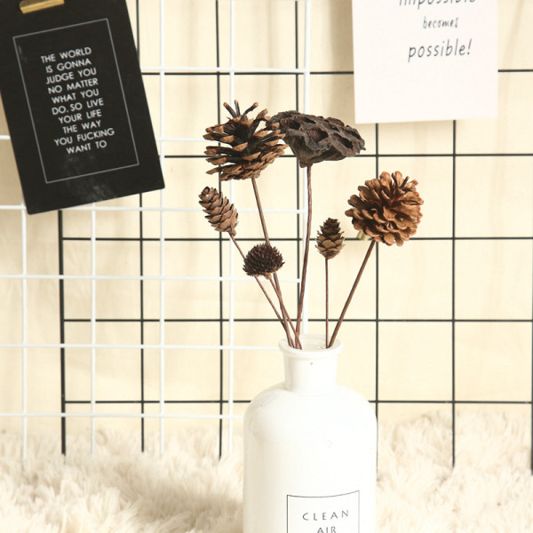 Natural pine nut dry flower cotton lotus simulation flower family decoration wedding hand held flower wall plant wall