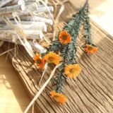 2021Imitation flower family decoration wedding holding flower road leading flower wall PE small daisy