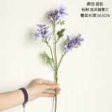 Dancing orchid imitation flower family decoration wedding holding flower road leading flower dancing orchid