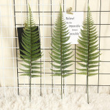 2021Fern Leaf Turtle back leaf simulation flower manufacturer family decoration wedding plant scattered tail sunflower
