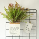 2021Artificial leaves of touch phoenix tail grass export indoor green plant wall simulated flower micro landscape