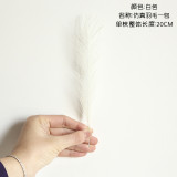 Cross border wholesale feather phoenix tail grass simulation flower manufacturer family decoration wedding hand held flowers