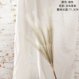2021Manufacturer wholesale home decoration wedding artificial flower reed pampas grass