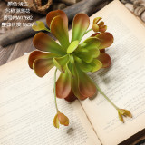 Simulated flower fleshy plant wedding family background flower wall photography green plant cross border Blue Lotus